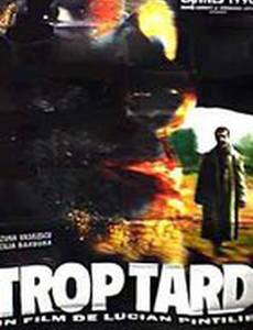 Слишком поздно