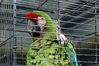 Кадр Параграф 78: Фильм первый