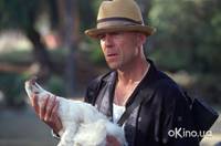 Кадр Девять ярдов 2