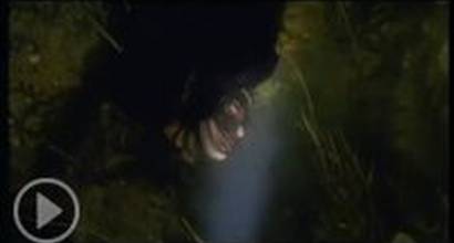 Фрагмент №1