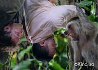 Кадр Сокровище Амазонки