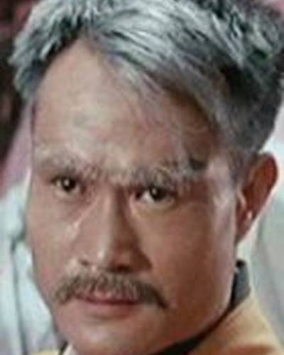 Чинг-Йинг Лам фото