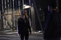 Кадр Агенты «Щ.И.Т.»