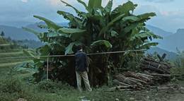 Кадр из фильма "Кайлийская меланхолия" - 2