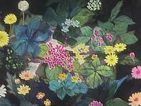 Кадр Пчелка Майя