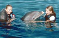 Кадр Солнечные каникулы (видео)