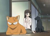 Кадр Корзинка фруктов