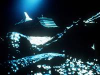 Кадр Щупальца (видео)