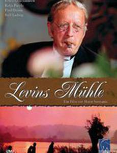 Мельница Левина