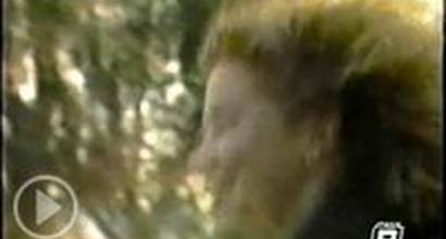 Вступительные титры