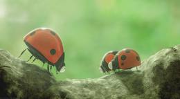 Кадр из фильма "Букашки 2. Карибские приключения!  " - 1