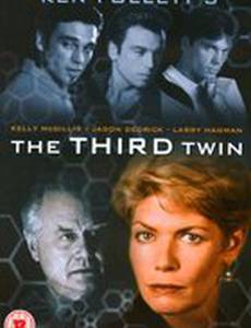 Третий близнец