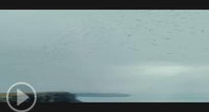 Ролик с Суперкубка №2