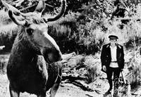 Кадр Тропой бескорыстной любви