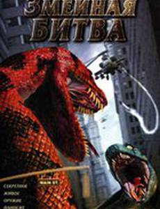 Змеиная битва (видео)