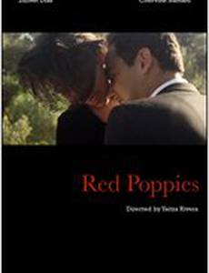 Red Poppies