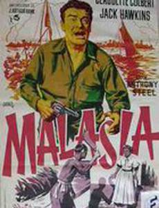 Жена плантатора