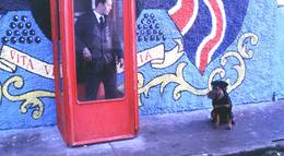 Кадр из фильма "Вечный мир" - 2