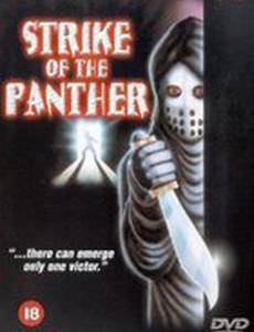 Удар пантеры