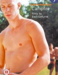 Лагерный костер