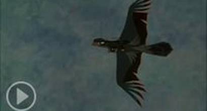 Мультфильм