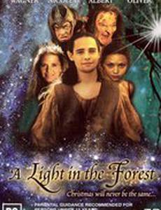 Свет в лесу