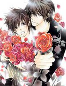 Лучшая в мире первая любовь