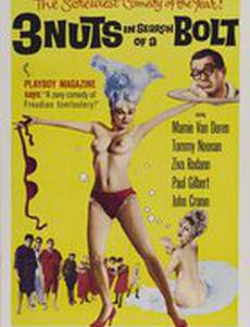 3 Nuts in Search of a Bolt