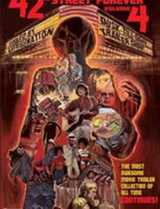 42nd Street Forever, Volume 4: Cooled by Refrigeration (видео)