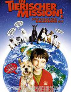 Лохматый спецназ