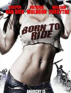 Прирожденный гонщик