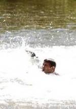 Коуди Уизелис фото