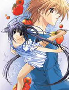 Фигурный калейдоскоп