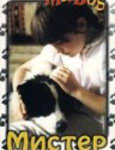Мистер дог