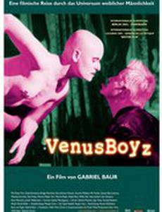 Мальчики Венеры