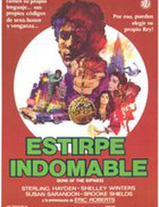 Король цыган