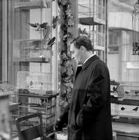 Кадр Семнадцать мгновений весны