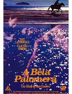 Сказка о прекрасной голубятнице