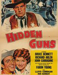 Hidden Guns