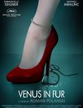 Постер из фильма "Венера в мехах" - 1