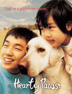 Искренние лапы