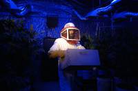 Кадр Крутые кексы