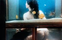 Кадр Арс-Аманди, или Искусство любви