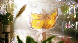 Кадр из фильма "Женщина-бабочка " - 2