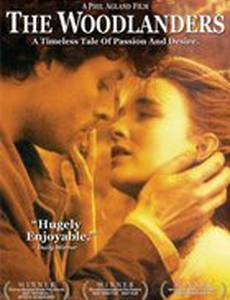 В краю лесов