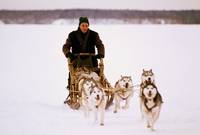 Кадр Железная воля