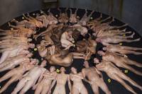 Кадр Ганнибал