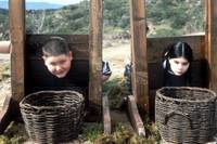 Кадр Воссоединение семейки Аддамс (видео)