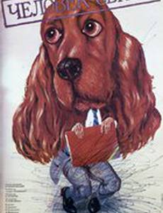 Человек свиты