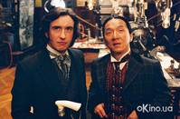 Кадр Вокруг света за 80 дней